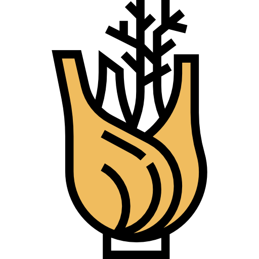 spices